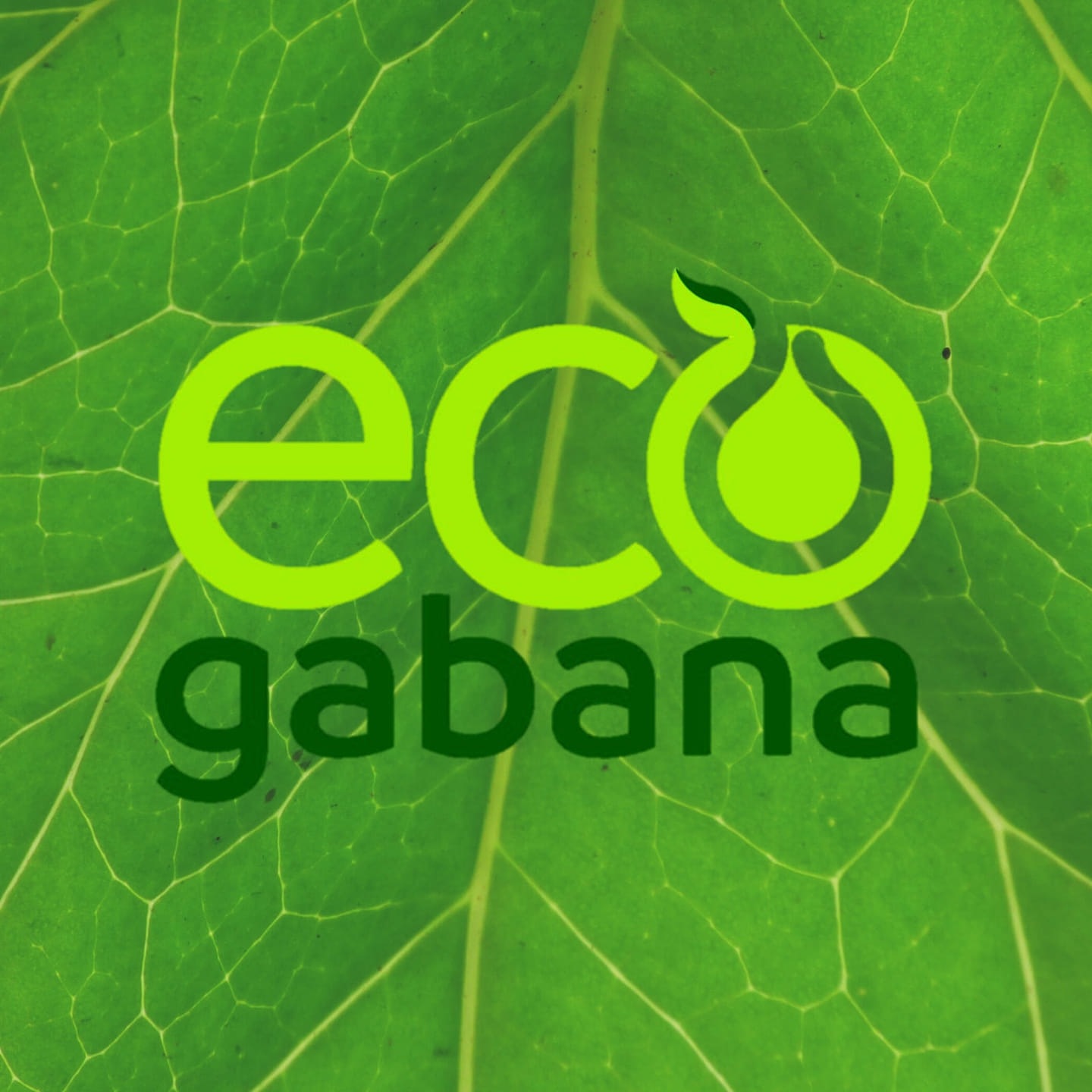 Adubos Orgânicos Ecogabana - Whatsapp
